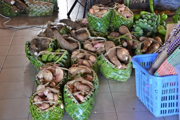 Zdjęcie z Vanuatu - Plody vanuackiej ziemi
