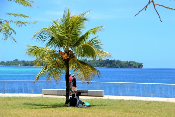 Zdjęcie z Vanuatu - Na nadmorskim deptaku