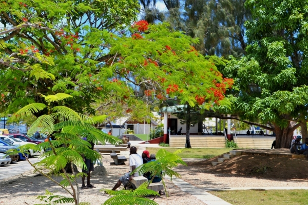 Zdjęcie z Vanuatu - Ulice Vila