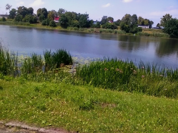 Zdjęcie z Polski - 