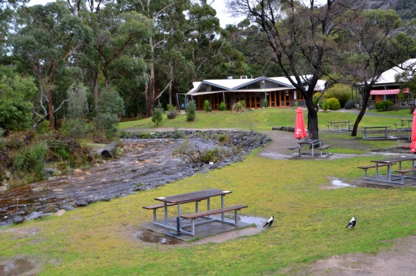 Zdjęcie z Australii - Halls Gap - stolica Grampianow