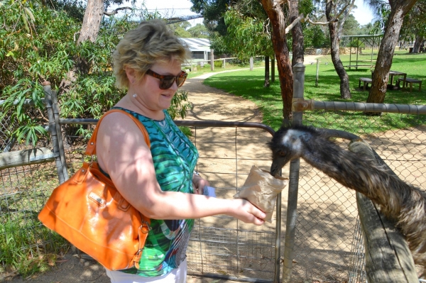 Zdjęcie z Australii - Przy bramie do parku wita nas emu