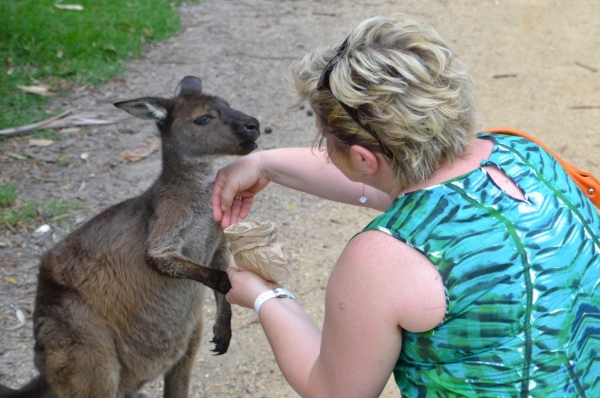 Zdjęcie z Australii - 