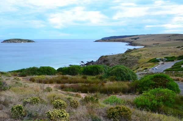 Zdjęcie z Australii - Widok z The Bluff