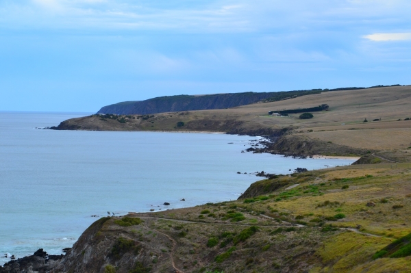 Zdjęcie z Australii - Widok z The Bluff