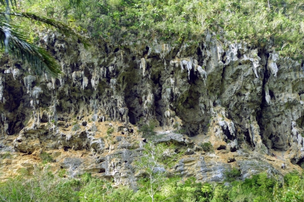 Zdjęcie z Kuby - jurajskie wapienie pasma Sierra de los Organos