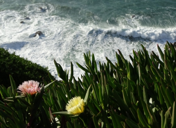 Zdjęcie z Portugalii - Cabo da Roca