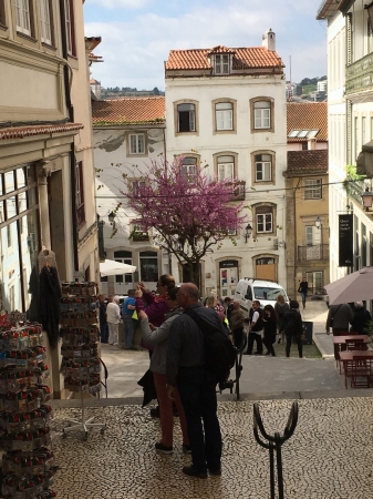 Zdjęcie z Portugalii - Coimbra
