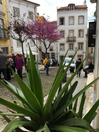 Zdjęcie z Portugalii - Coimbra