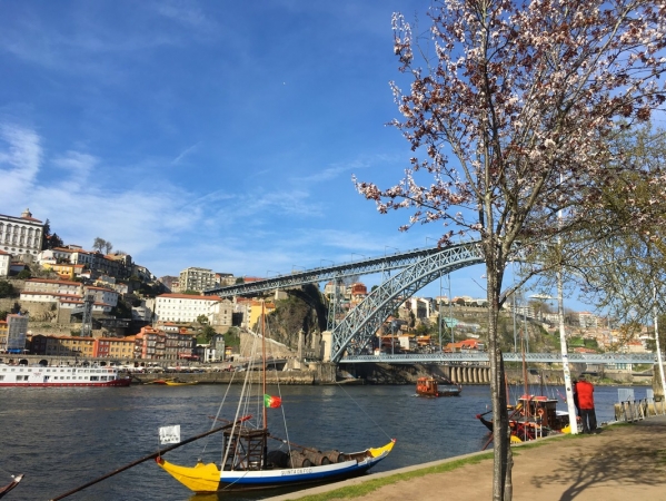 Zdjęcie z Portugalii - Porto