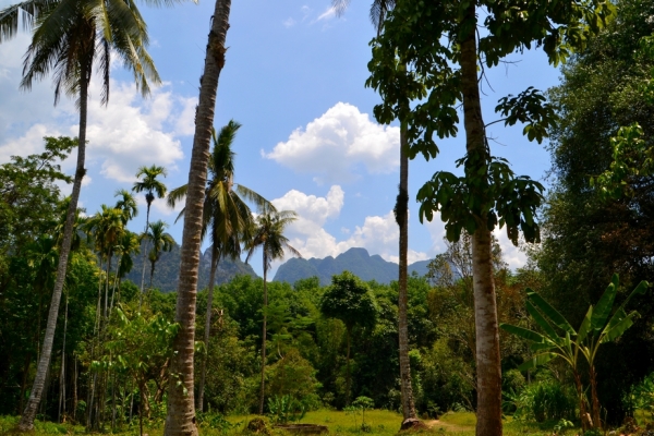 Zdjęcie z Tajlandii - Khao Sok