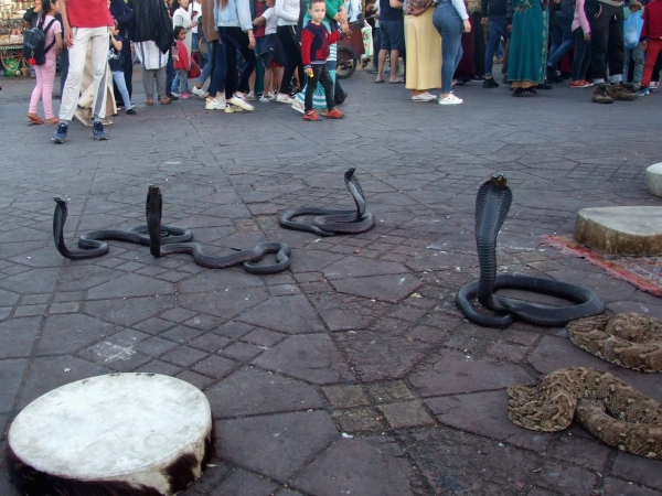 Zdjęcie z Maroka - 