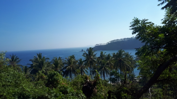 Zdjęcie z Indonezji - 
