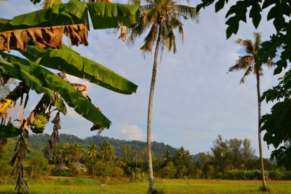 Zdjęcie z Tajlandii - W drodze do Khao Lak