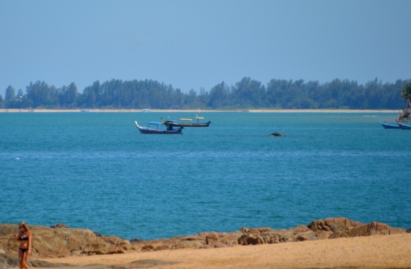 Zdjęcie z Tajlandii - Plaza Khao Lak