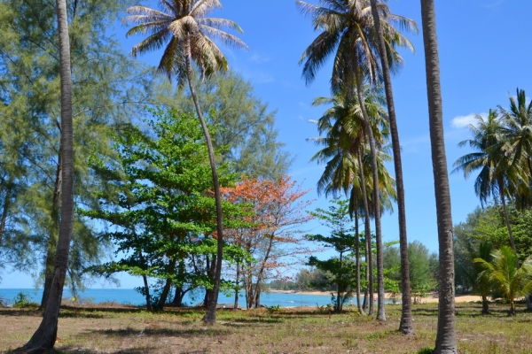 Zdjęcie z Tajlandii - Khao Lak