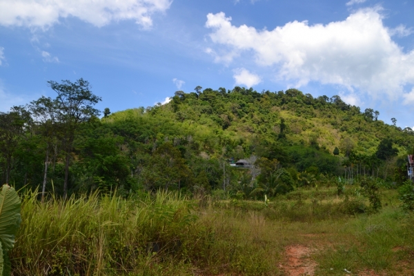 Zdjęcie z Tajlandii - Spacer po Khao Lak