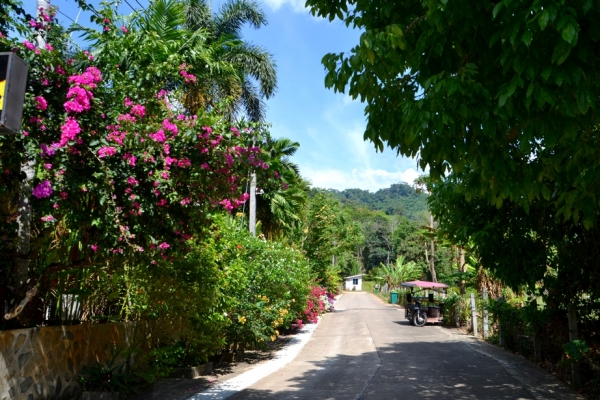 Zdjęcie z Tajlandii - Spacer po Khao Lak