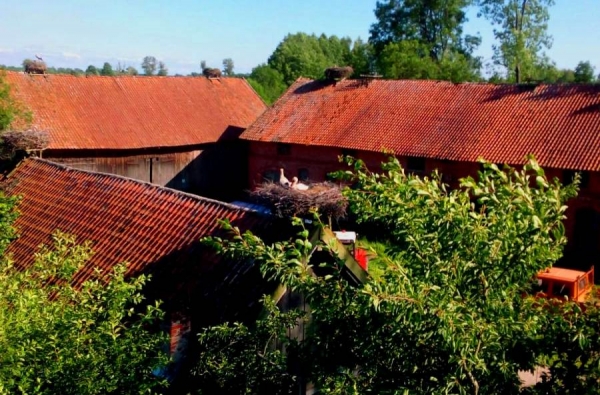 Zdjęcie z Polski - 
