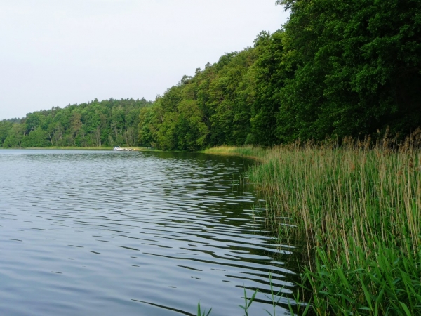 Zdjęcie z Polski - Jezioro Szeląg Mały 