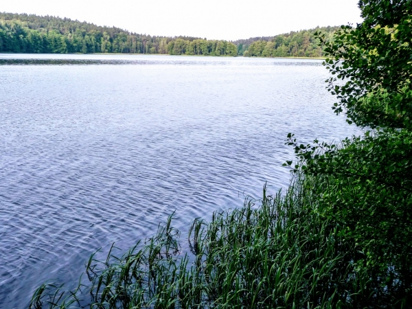 Zdjecie - Polska - MAZURY - CUD NATURY 