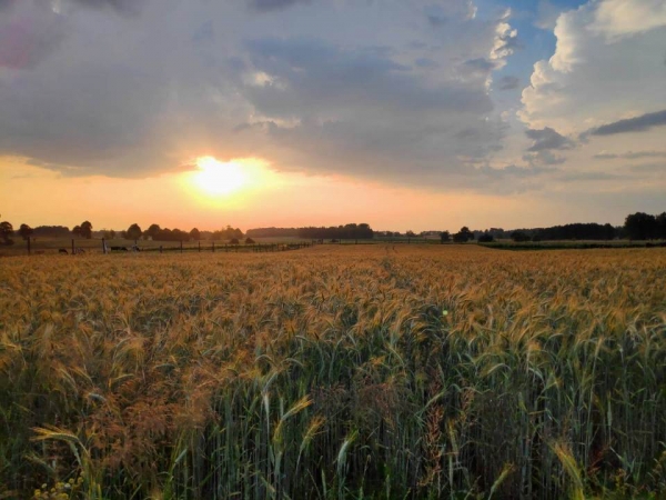 Zdjęcie z Polski - 