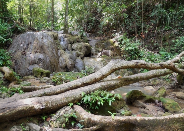 Zdjęcie z Tajlandii - W parku narodowym Sa Nang Manora