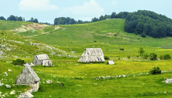 Zdjęcie z Czarnogóry - Žabljak