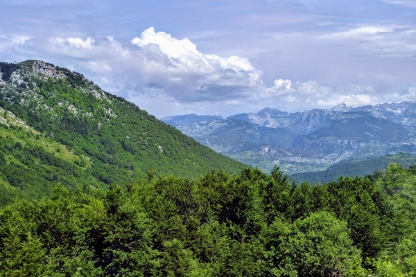 Zdjęcie z Czarnogóry - Park Narodowy Durmitor