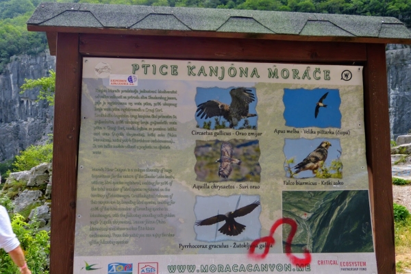 Zdjęcie z Czarnogóry - ...