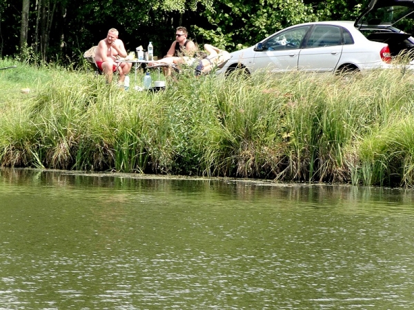 Zdjęcie z Polski - Ale kawałek dalej piknik miłośników aut...