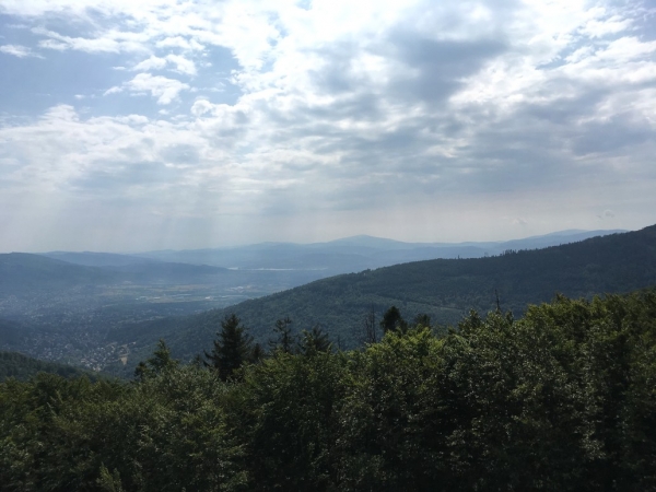 Zdjęcie z Polski - Panorama z wieży widokowej