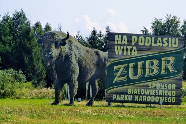 Zdjęcie z Polski - 