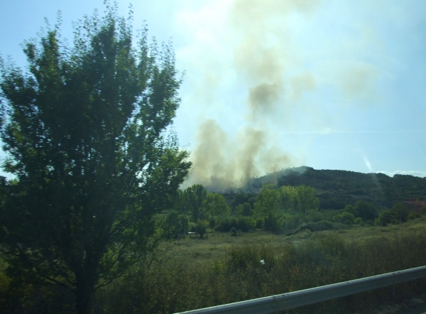Zdjęcie z Bułgarii - chyba się wymknęło spod kontroli