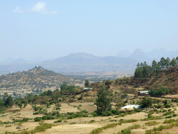 Zdjęcie z Etiopii - Aksum