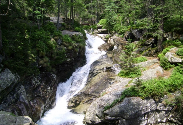 Zdjecie - Słowacja - Wysokie Tatry - Hrebieniok