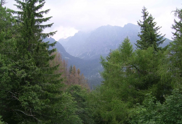 Zdjęcie ze Słowacji - Wysokie Tatry