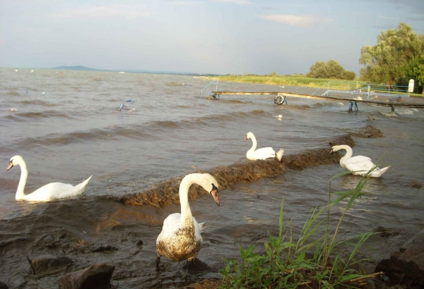Zdjęcie z Węgier - Balatonmáriafürdő