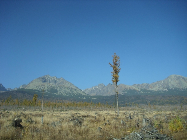 Zdjęcie ze Słowacji - Wysokie Tatry-Gerlach