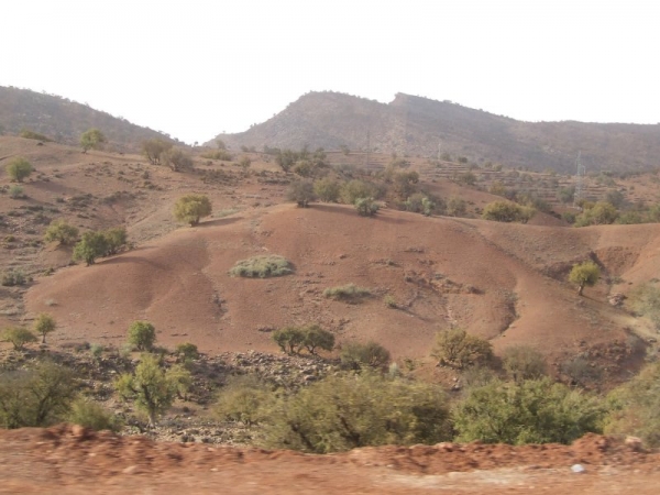 Zdjęcie z Maroka - Agadir
