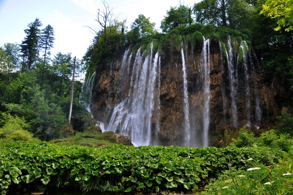 Zdjęcie z Chorwacji - JEZIORA PLITWICKIE