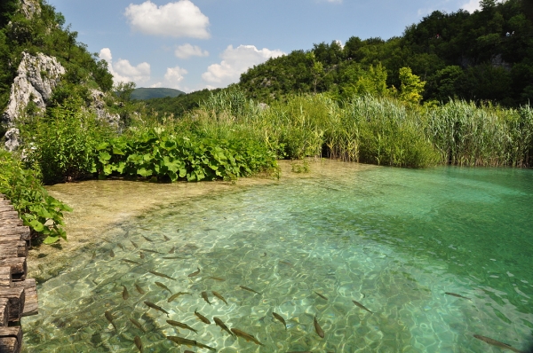 Zdjęcie z Chorwacji - JEZIORA PLITWICKIE