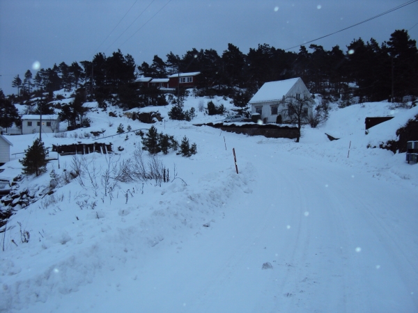 Zdjęcie z Norwegii - 