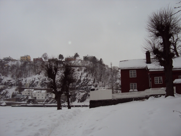 Zdjęcie z Norwegii - 