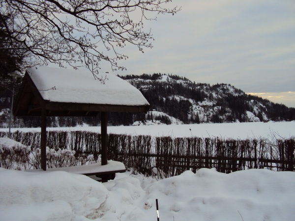 Zdjęcie z Norwegii - 