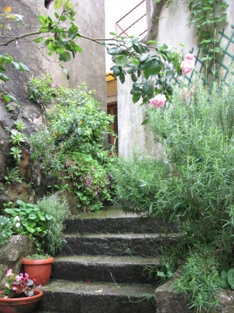 Zdjęcie z Chorwacji - Krk-Vrbnik