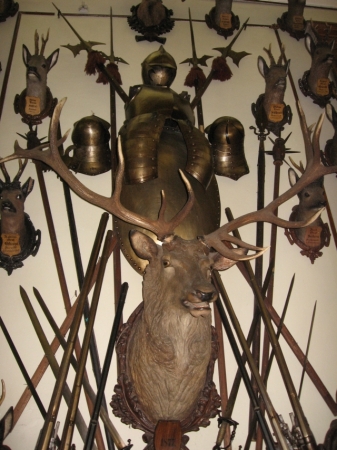 Zdjęcie z Czech - Kromeriz