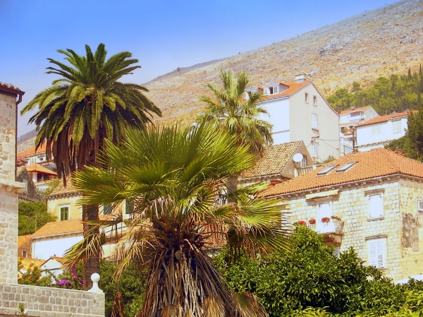 Zdjęcie z Chorwacji - Dubrovnik