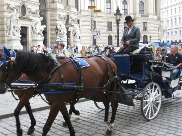 Zdjęcie z Austrii - Wiedeń