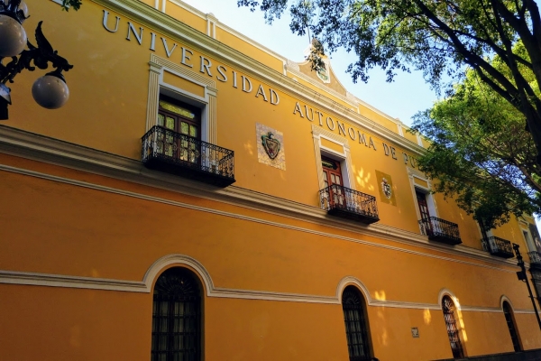 Zdjęcie z Meksyku - Universidad! 